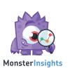 MonsterInsights
