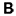 Bhole